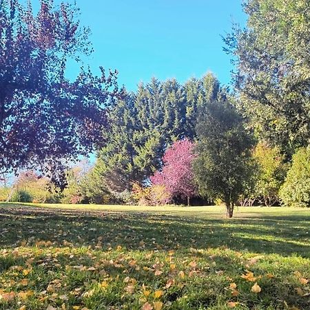 Cautiva Morena San Martin de los Andes Exterior photo